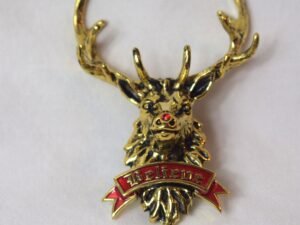 HRSC Exclusive!! Believe Brooch